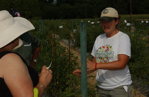 Vegetable Research