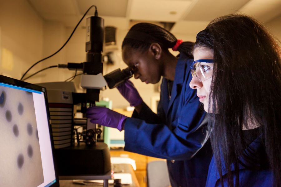 two women work in a science lab