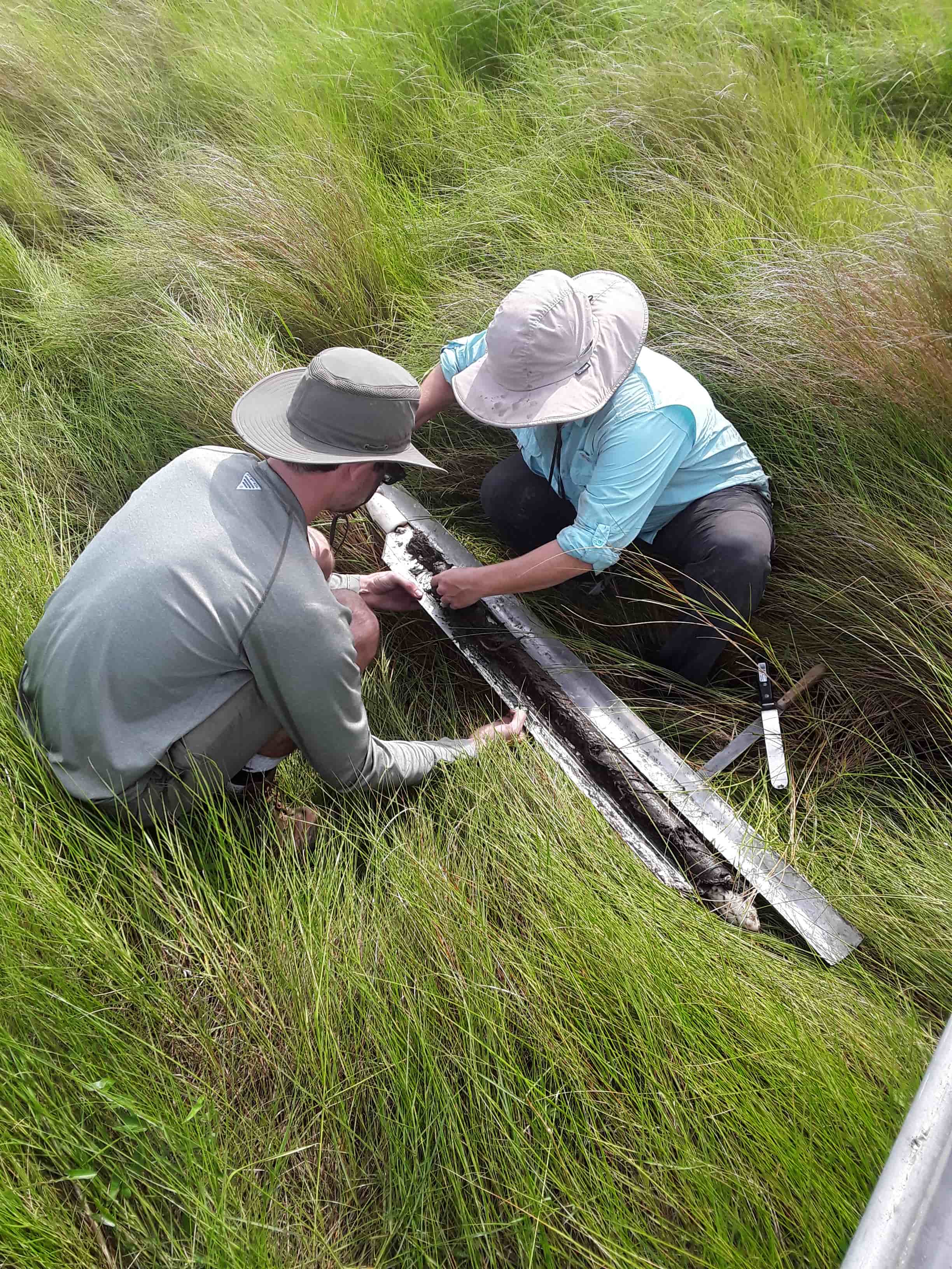 Students working in the Field in Louisiana